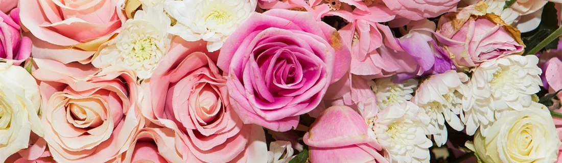 Dentures Cleaning and Care in San Jose CA