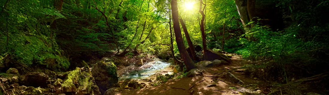 Dental Implant Benefits in San Jose CA