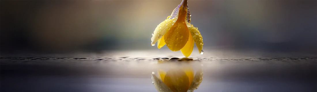 Cavities in CITY* STATE*