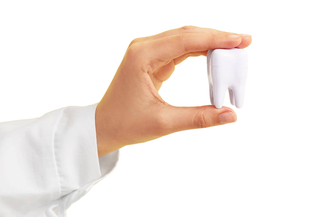 Hand Popping Out From The Left Holding A Large Plastic Tooth