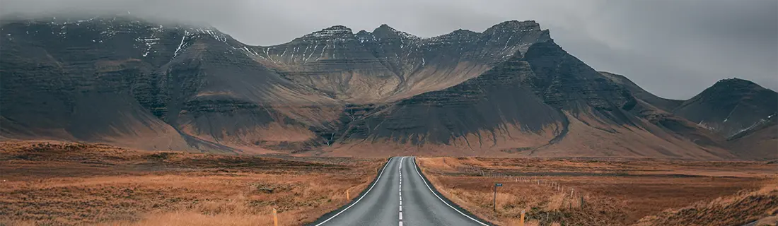 Dental Insurance CITY* STATE*