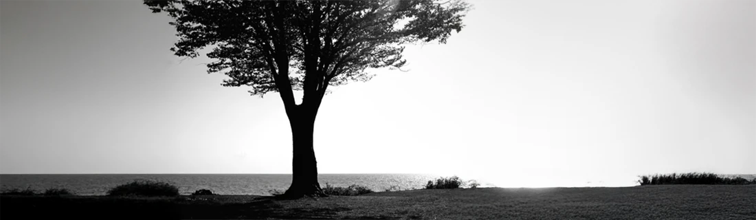 Root Canal Therapy in San Jose CA