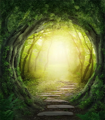 Magically Curved Trees Showing A Path