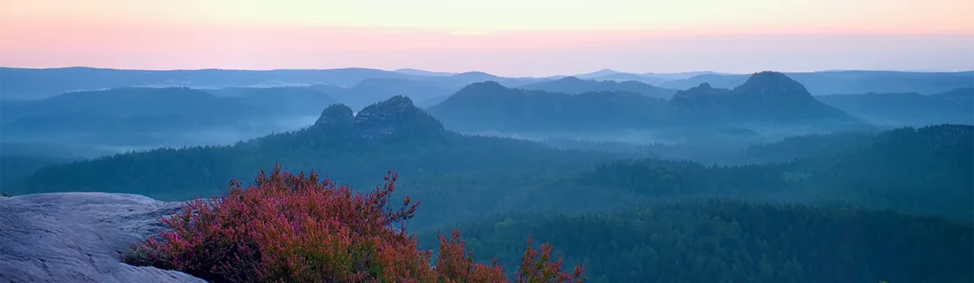 Gingivitis in CITY* STATE*