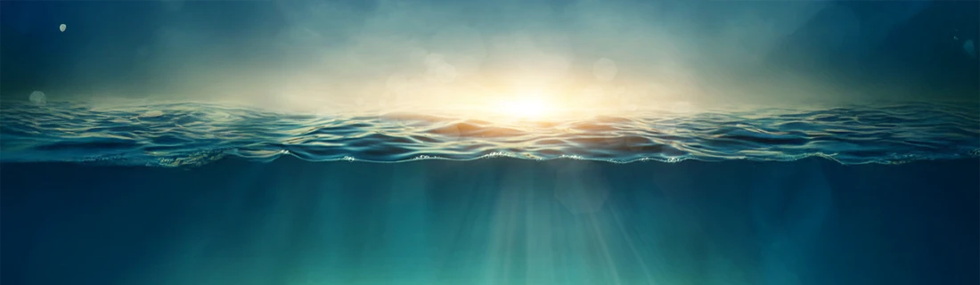 Mouth Guards In San Jose CA